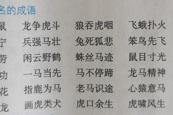鼠目寸光打一生肖
