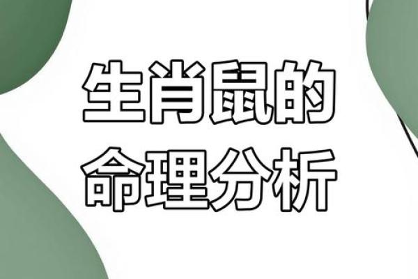 1996年2月11日出生属猪还是鼠生肖解析
