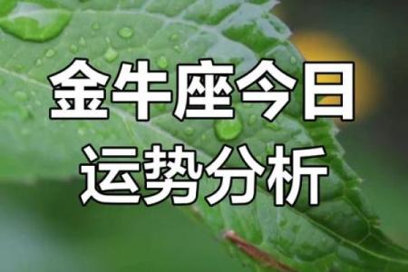 3月金牛座运势