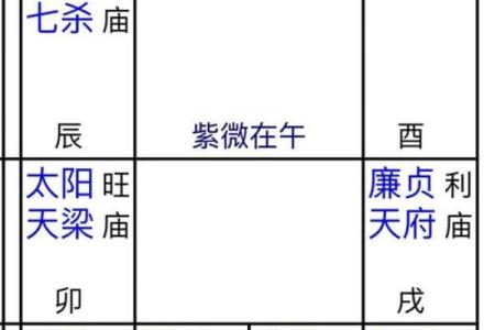 2025年4月30日巳时女命紫微斗数全解盘