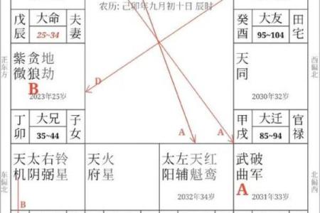 2025年4月11日丑时女命紫微斗数全解盘