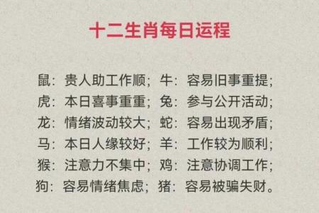 属猪人2025全年运势及_71年属猪人54岁最难熬