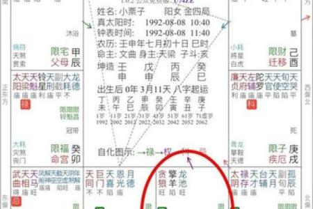 2025年4月3日丑时女命紫微斗数全解盘