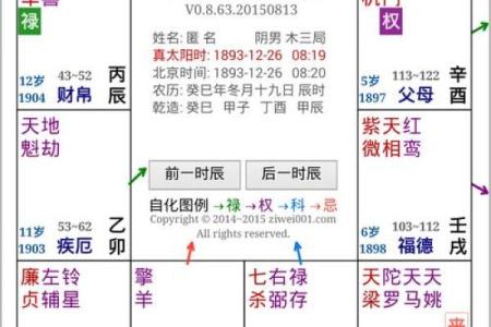 2025年4月4日申时男命紫微斗数全解盘