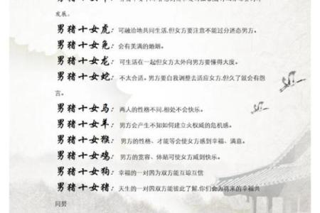 83年属猪女2025年运势完整版_71猪女在2025年运势