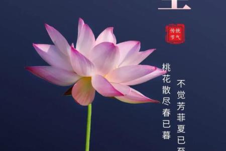 2021年夏至