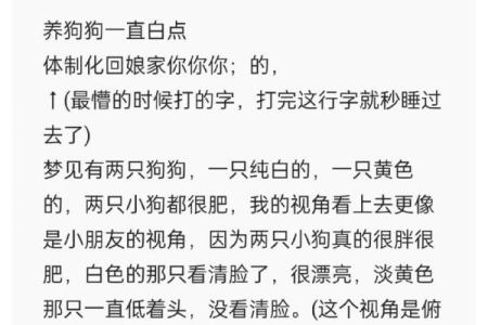 梦见狗咬住不松口是什么意思