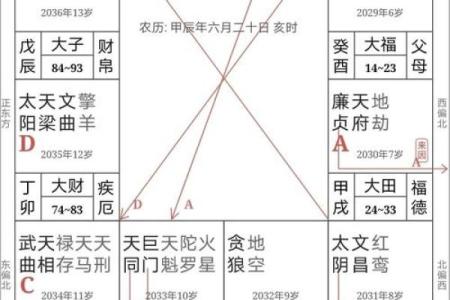 2025年4月20日午时女命紫微斗数全解盘