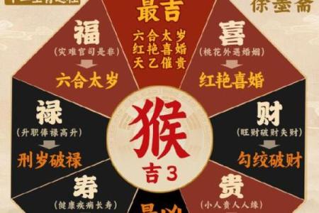 朝九晚五是什么生肖