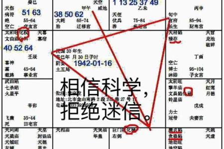 2025年4月4日巳时男命紫微斗数全解盘