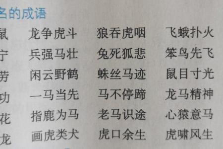 鼠目寸光打一生肖