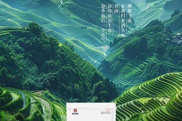 2020年谷雨