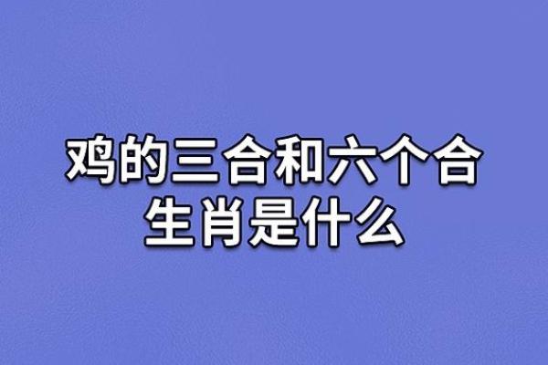 属鸡和属鸡的财运合不合揭秘生肖配对财运影响