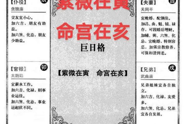 2025年4月11日亥时女命紫微斗数全解盘