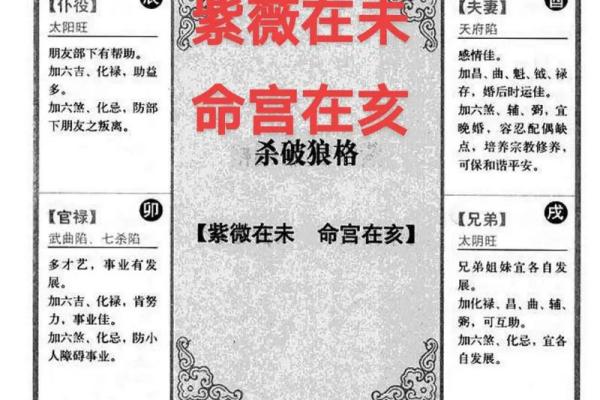 2025年4月10日未时女命紫微斗数全解盘