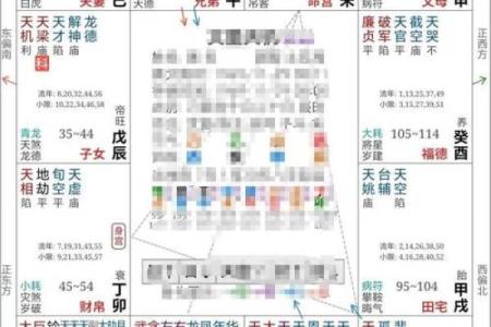 2025年4月5日子时女命紫微斗数全解盘