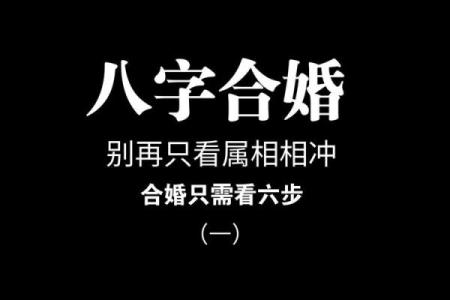 怎么算两人八字合不合适_免费测试两人配不配