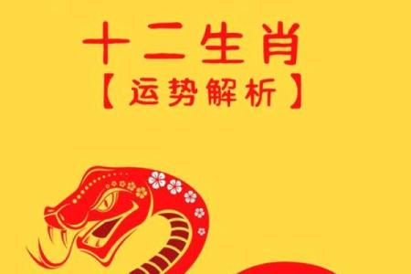 1996年属鼠人2025年运势