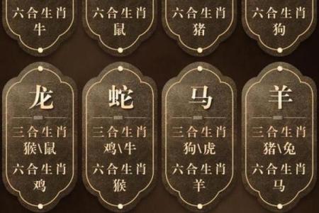 山穷水尽打一正确生肖(山穷水尽猜一肖)
