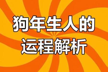 属狗人2025年运势详解事业财运健康全解析