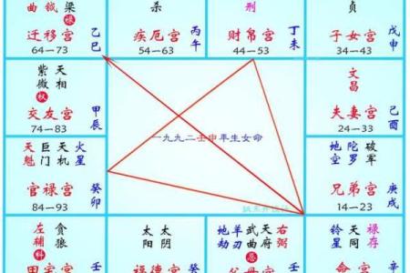 2025年4月17日子时男命紫微斗数全解盘