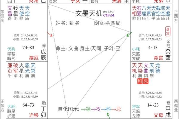 2025年4月8日戌时男命紫微斗数全解盘