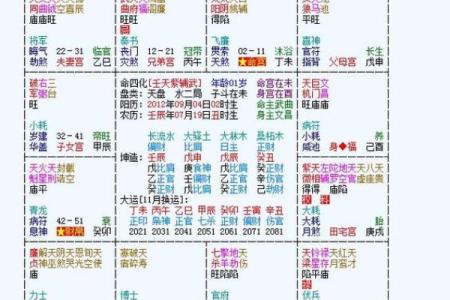 2025年4月27日未时男命紫微斗数全解盘