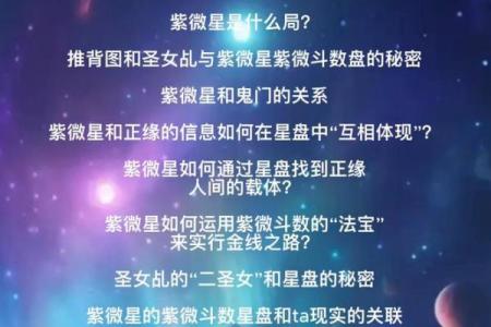 2025年4月8日未时男命紫微斗数全解盘