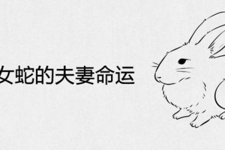 蛇和兔子属相婚配如何_男兔女蛇千万别在一起