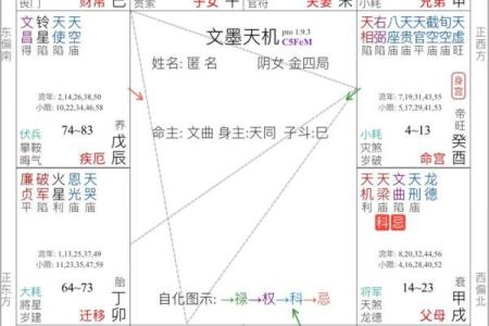 2025年4月8日戌时男命紫微斗数全解盘