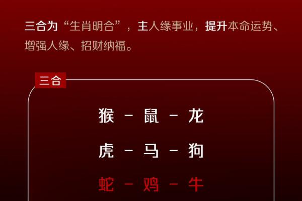“前仰后合”打一个生肖动物，前仰后合打一准确生肖答案解释释义落实