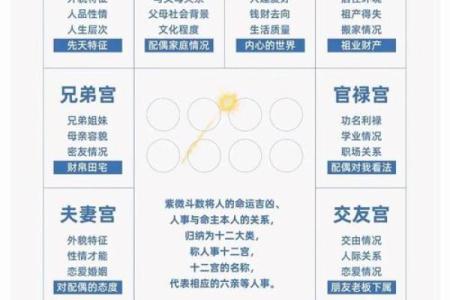 2025年4月1日亥时女命紫微斗数全解盘