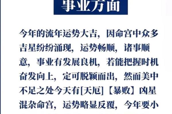 2024年属猪人全年运势详解财运事业爱情全面解析
