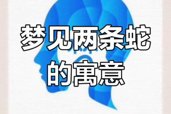 梦见很大的蛇