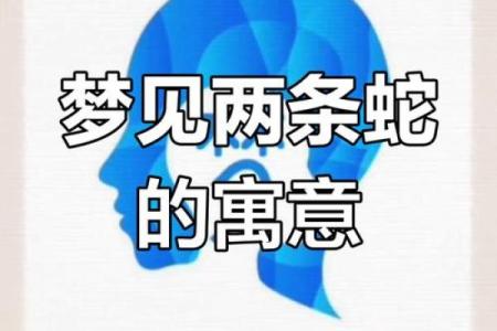 梦见很大的蛇
