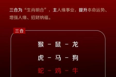 擒七打八是什么生肖