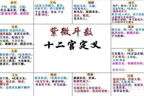 2025年4月15日酉时女命紫微斗数全解盘