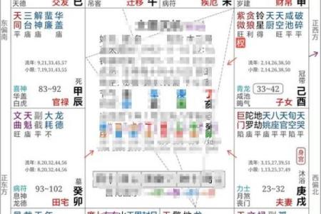 2025年4月26日戌时女命紫微斗数全解盘
