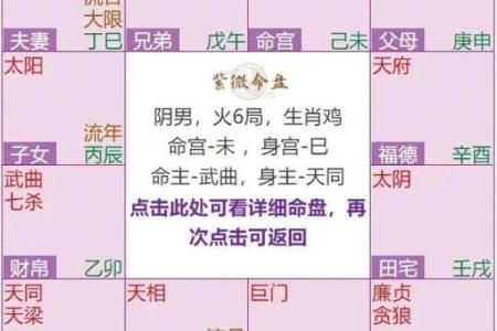 2025年4月4日午时男命紫微斗数全解盘