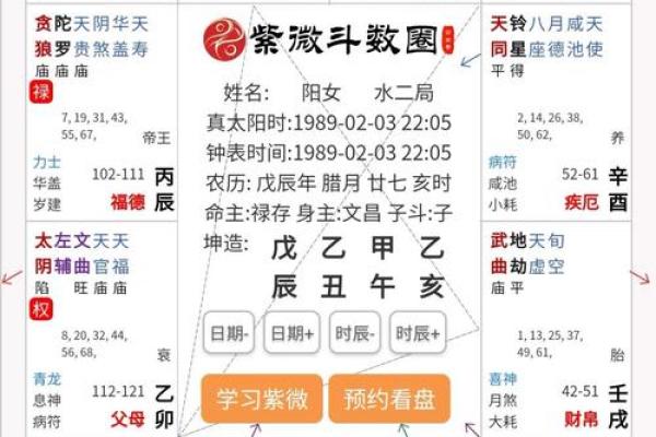 2025年4月3日亥时男命紫微斗数全解盘