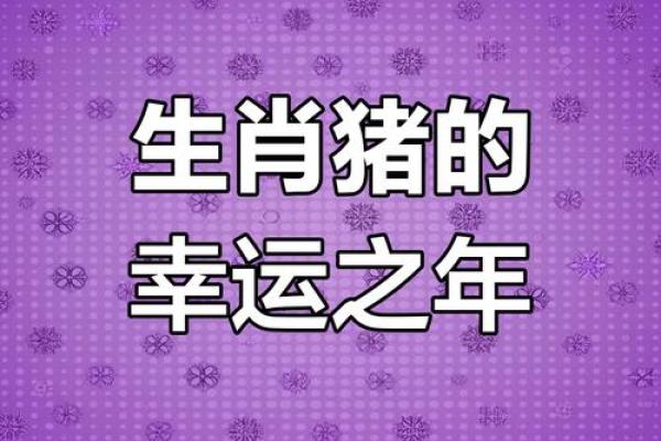 2007年属猪2025年运势 95年属猪人2025年运势