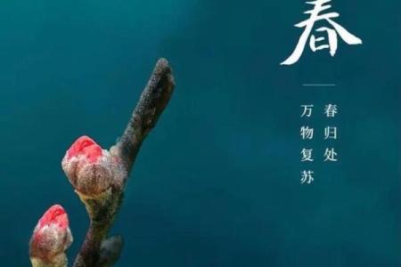 2019年什么时候立春几点几分