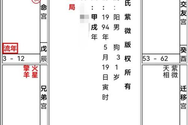 2025年4月1日寅时男命紫微斗数全解盘