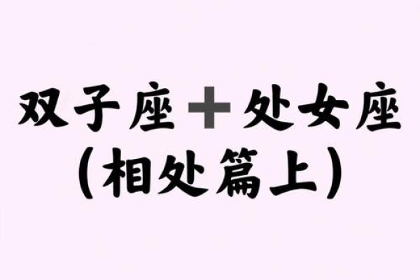 双子座男和处女座配对指数是多少(双子座男和处女座女在一起合适吗)