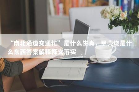 “南北通道交通忙”是什么生肖，甲壳烧是什么东西答案解释释义落实