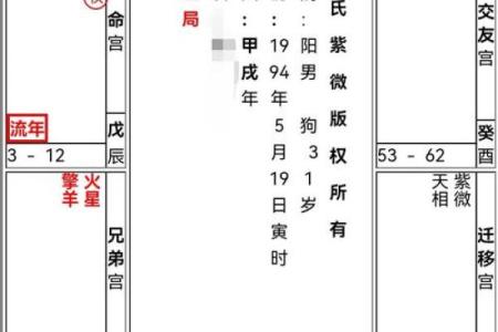 2025年4月1日寅时男命紫微斗数全解盘