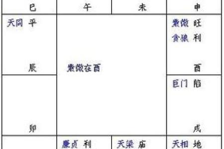 2025年4月19日子时女命紫微斗数全解盘