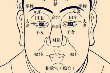 2025年4月28日辰时男命紫微斗数全解盘
