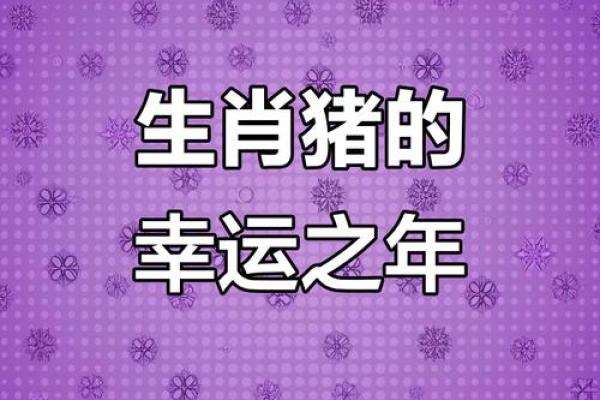 1971年属猪女今年运势如何_1971年属猪女2023年运势解析财运健康感情全揭秘