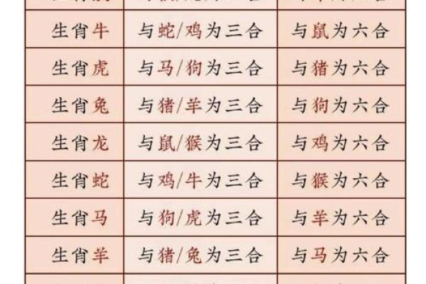 “和衣而睡”打一正确的生肖，和衣而睡正确一肖答案解释释义落实